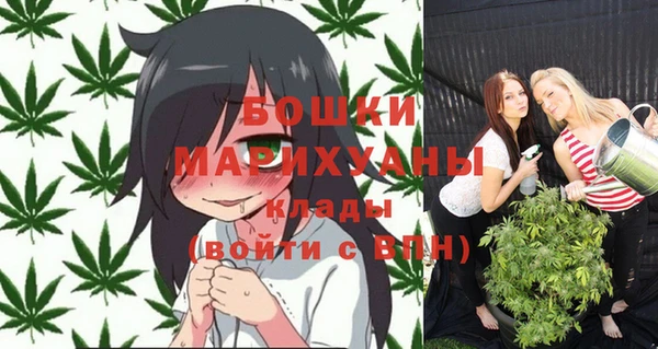 дживик Балахна